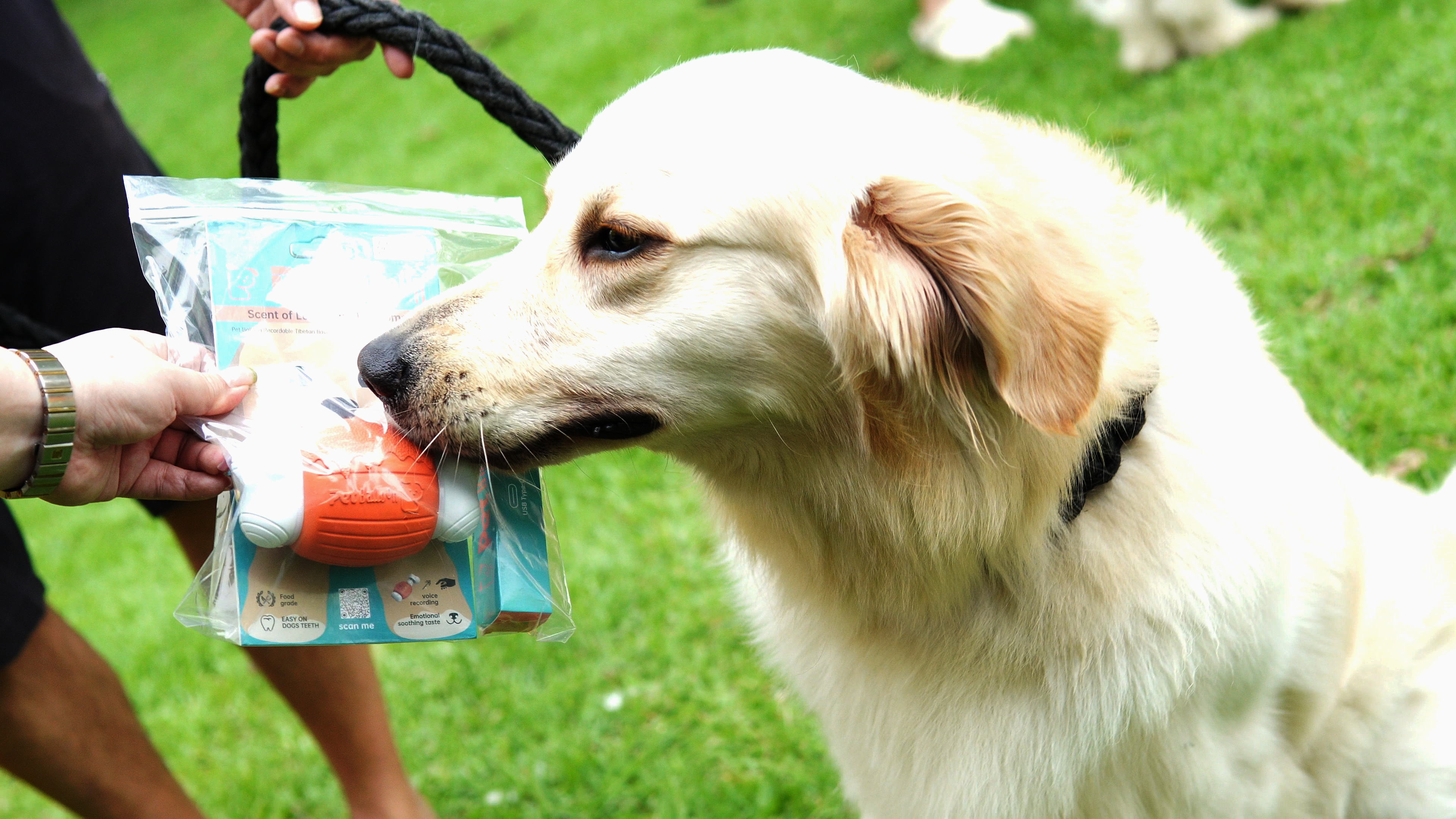 A Touching Moment during Product Testing