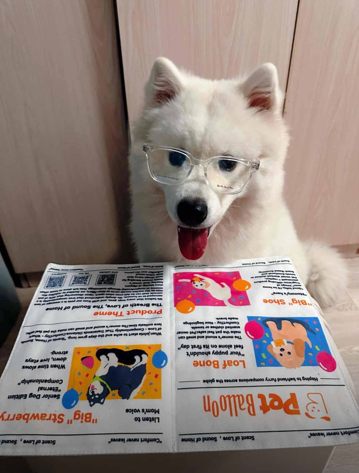 Hey, Fellow Dog Parents – Your Furniture’s New Best Friend