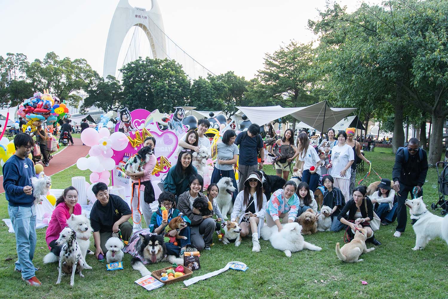 Wawa’s Birthday Bash — A Day of Joy, Friendship, and Play with PetBalloon 🐾🎂