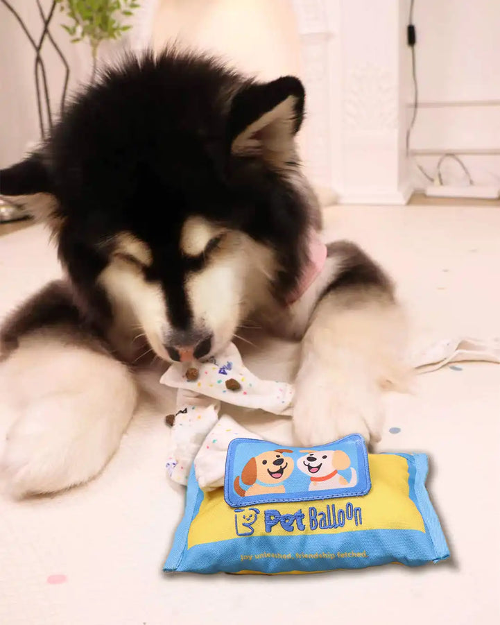 🔥New Year 50% OFF🔥Wet Wipes Sniffing Toy for Dogs — Train Calm, Focused Play