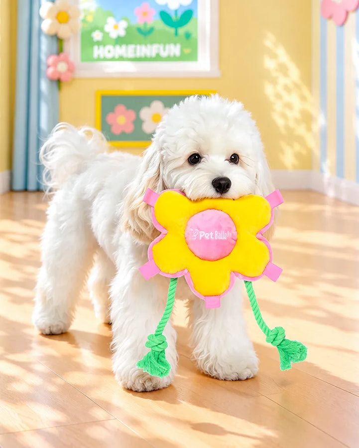 🔥New Arrivals🔥Sunflower Squeaky Tug & Fetch Dog Toy