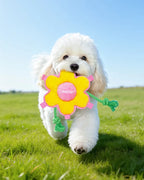 🔥New Arrivals🔥Sunflower Squeaky Tug & Fetch Dog Toy