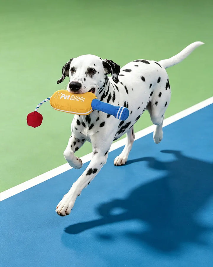 🔥New Arrival🔥Cricket Interactive Squeaky Snuffle Dog Toy