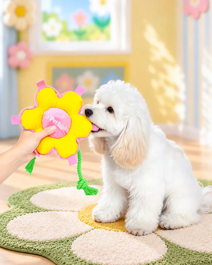 🔥New Arrivals🔥Sunflower Squeaky Tug & Fetch Dog Toy