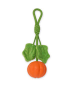 Super Mini Pumpkin Rope Toy for Small & Teething Dogs (Single)