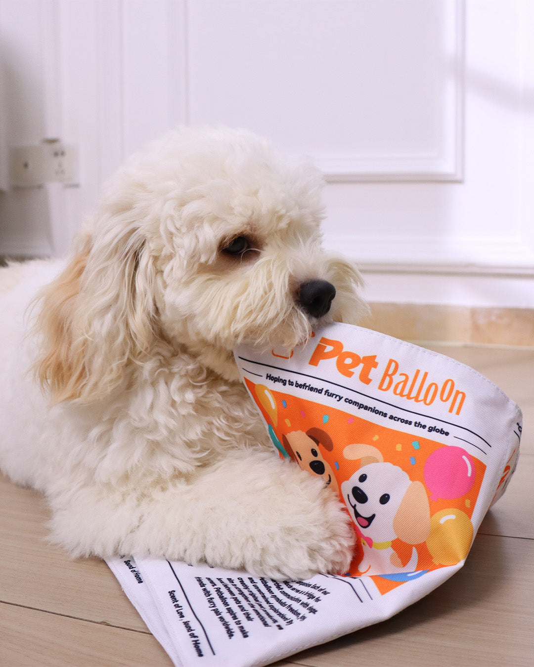 🔥Black Friday 50% OFF🔥Dog Newspaper Squeak Toy (Double Page)