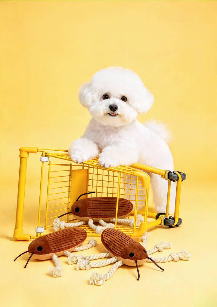 🔥New Arrival🔥Cockroach Rope Dog Toy for Small to Medium Dogs - Tug, Fetch & Chew Fun