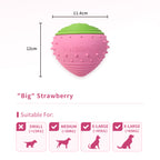 🎉Buy 1 Get 3🎉ComfortBerry – Voice Replay & Chew Companion for Medium & Large Dogs