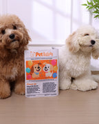 🔥New Year 50% OFF🔥Dog Newspaper Squeak Toy (Double Page)