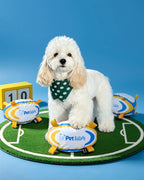 🔥New Arrival🔥Football-Shaped Outdoor Crinkle Tug & Fetch Dog Toy