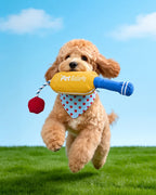 🔥New Arrival🔥Cricket Interactive Squeaky Snuffle Dog Toy