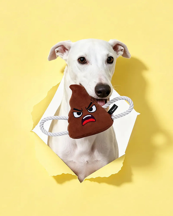 🔥New Arrivals🔥Poopy Face Squeaky Tug & Rope Dog Toy
