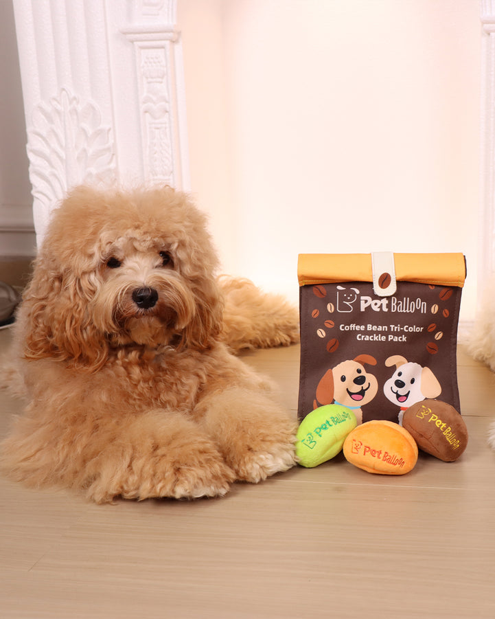 🔥New Year 50% OFF🔥Coffee Bean Toy Set