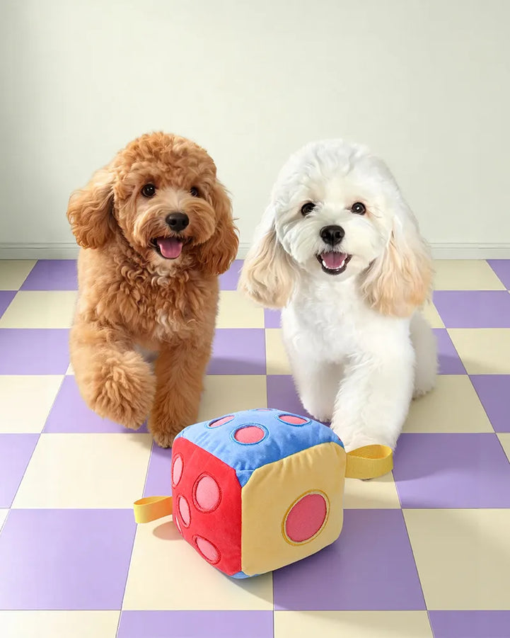 🔥New Arrival🔥Dice Snuffle & Puzzle Plush Dog Toy