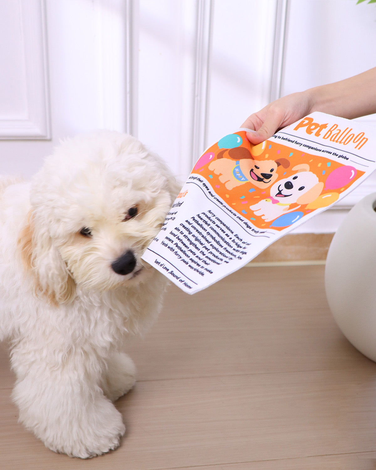 🔥Black Friday 50% OFF🔥Dog Newspaper Squeak Toy (Double Page)