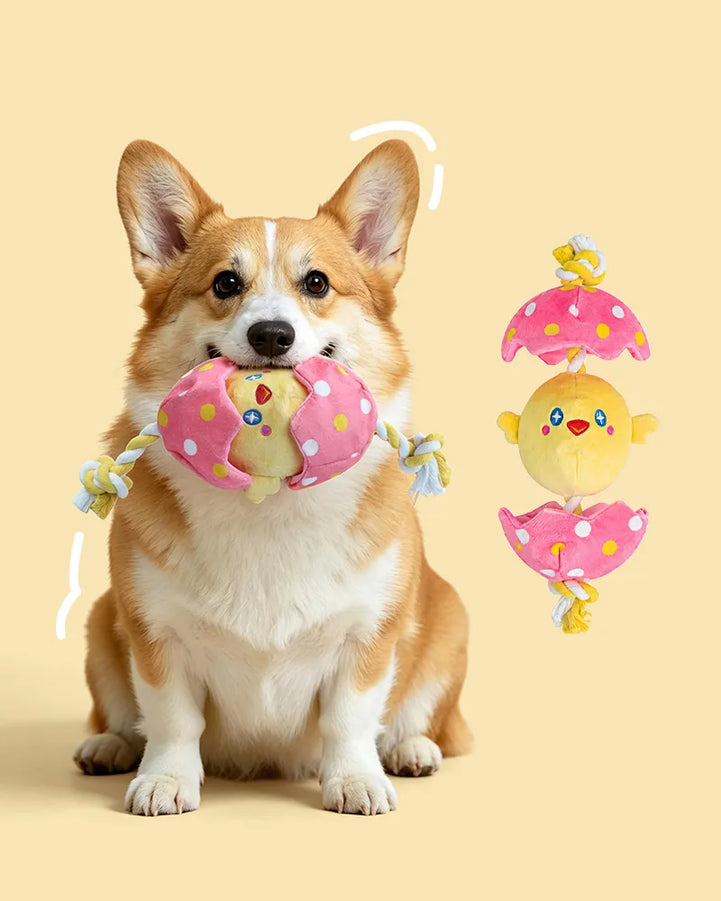 🔥New Arrival🔥Hatching Chick Tug & Squeaky Plush Dog Toy