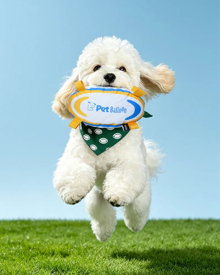 🔥New Arrival🔥Football-Shaped Outdoor Crinkle Tug & Fetch Dog Toy