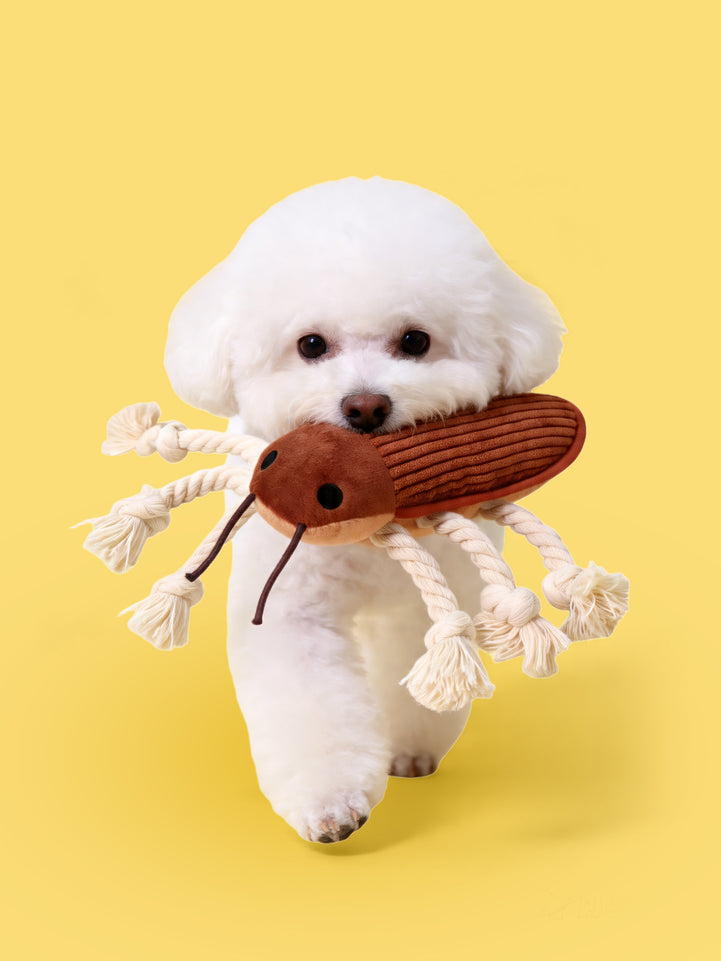 🔥New Arrival🔥Cockroach Rope Dog Toy for Small to Medium Dogs - Tug, Fetch & Chew Fun