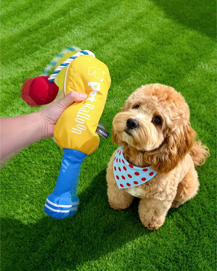 🔥New Arrival🔥Cricket Interactive Squeaky Snuffle Dog Toy