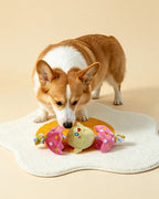 🔥New Arrival🔥Hatching Chick Tug & Squeaky Plush Dog Toy