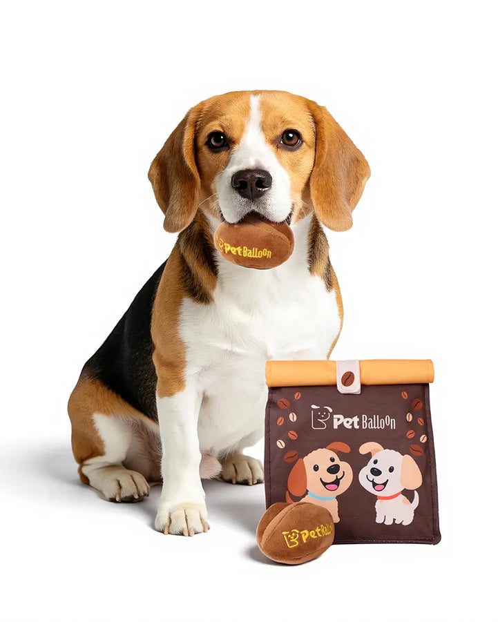 🔥Big Spring Sale🔥 Coffee Bean Sniffing Toy Set Plus