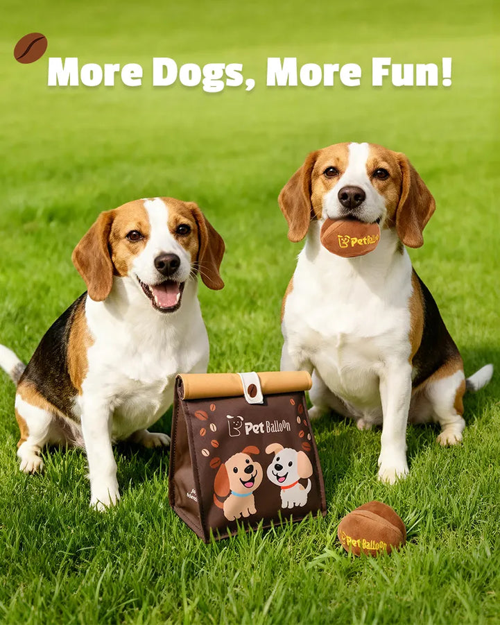 🔥Big Spring Sale🔥 Coffee Bean Sniffing Toy Set Plus