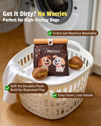 🔥Big Spring Sale🔥 Coffee Bean Sniffing Toy Set Plus