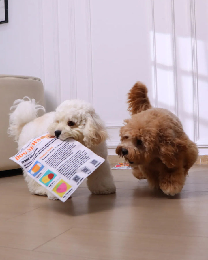 🔥New Year 50% OFF🔥Dog Newspaper Squeak Toy (Double Page)