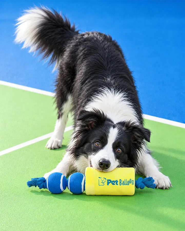 🔥New Arrivals🔥Tennis Ball Duo Tug & Fetch Dog Toy