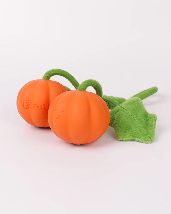 🔥New Arrival 50% OFF🔥Super Mini Pumpkin Rope Toy for Small & Teething Dogs