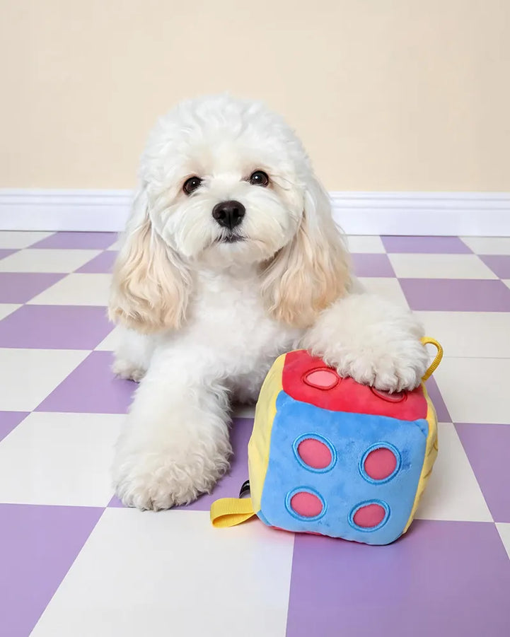 🔥New Arrival🔥Dice Snuffle & Puzzle Plush Dog Toy