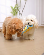 🔥New Year 50% OFF🔥Wet Wipes Sniffing Toy for Dogs — Train Calm, Focused Play