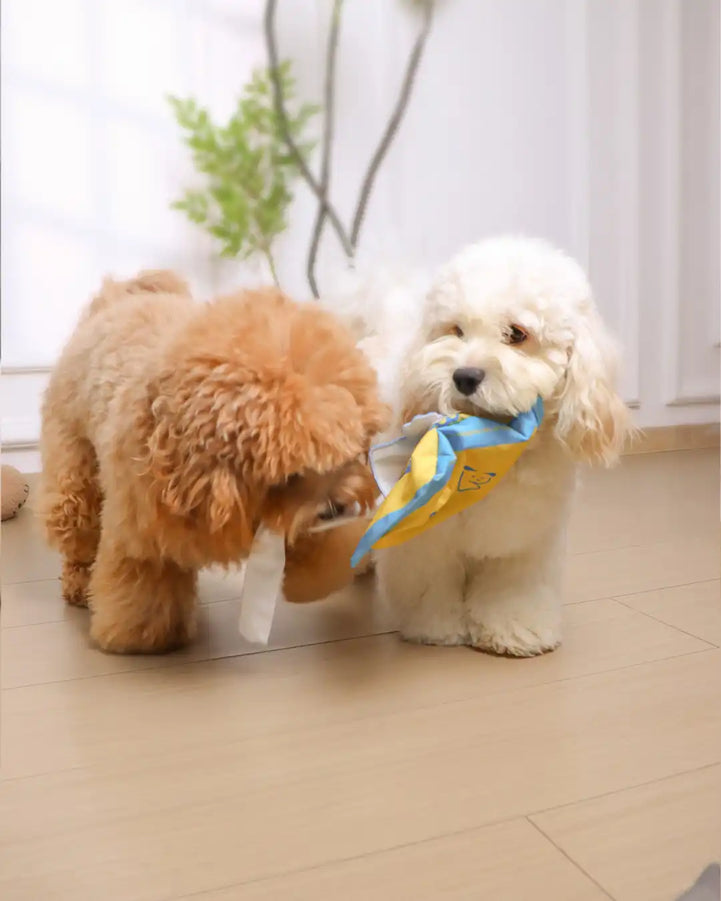 🔥New Year 50% OFF🔥Wet Wipes Sniffing Toy for Dogs — Train Calm, Focused Play