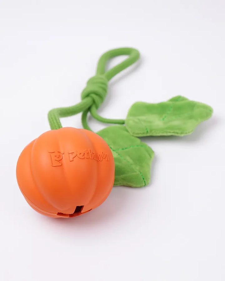 Super Mini Pumpkin Rope Toy for Small & Teething Dogs (Single)