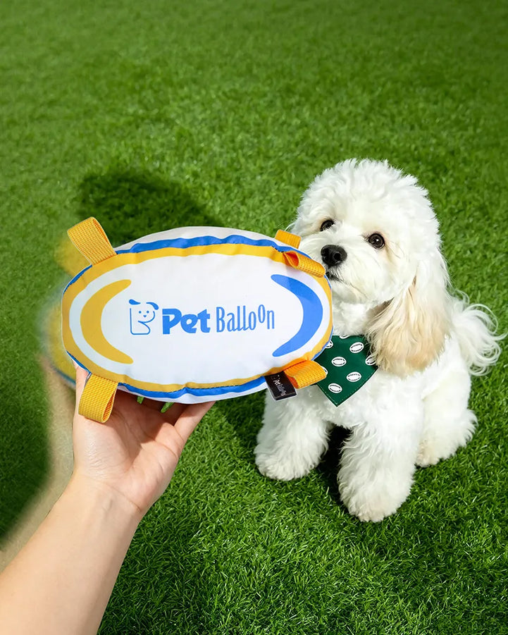 🔥New Arrival🔥Football-Shaped Outdoor Crinkle Tug & Fetch Dog Toy