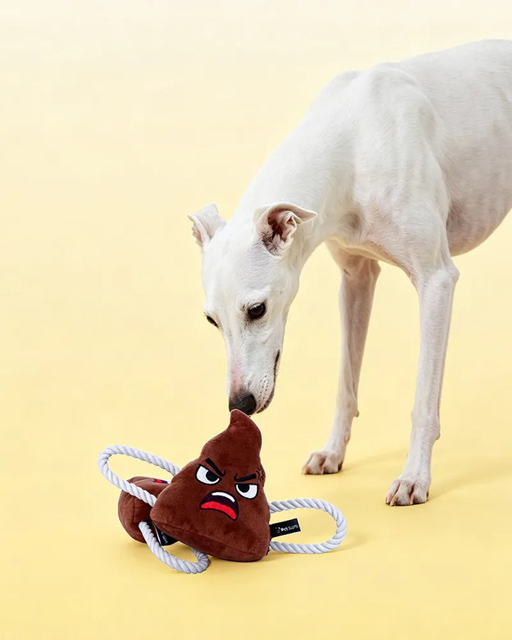 🔥New Arrivals🔥Poopy Face Squeaky Tug & Rope Dog Toy