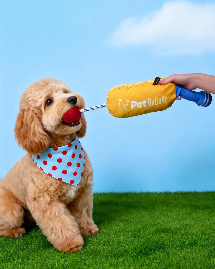 🔥New Arrival🔥Cricket Interactive Squeaky Snuffle Dog Toy