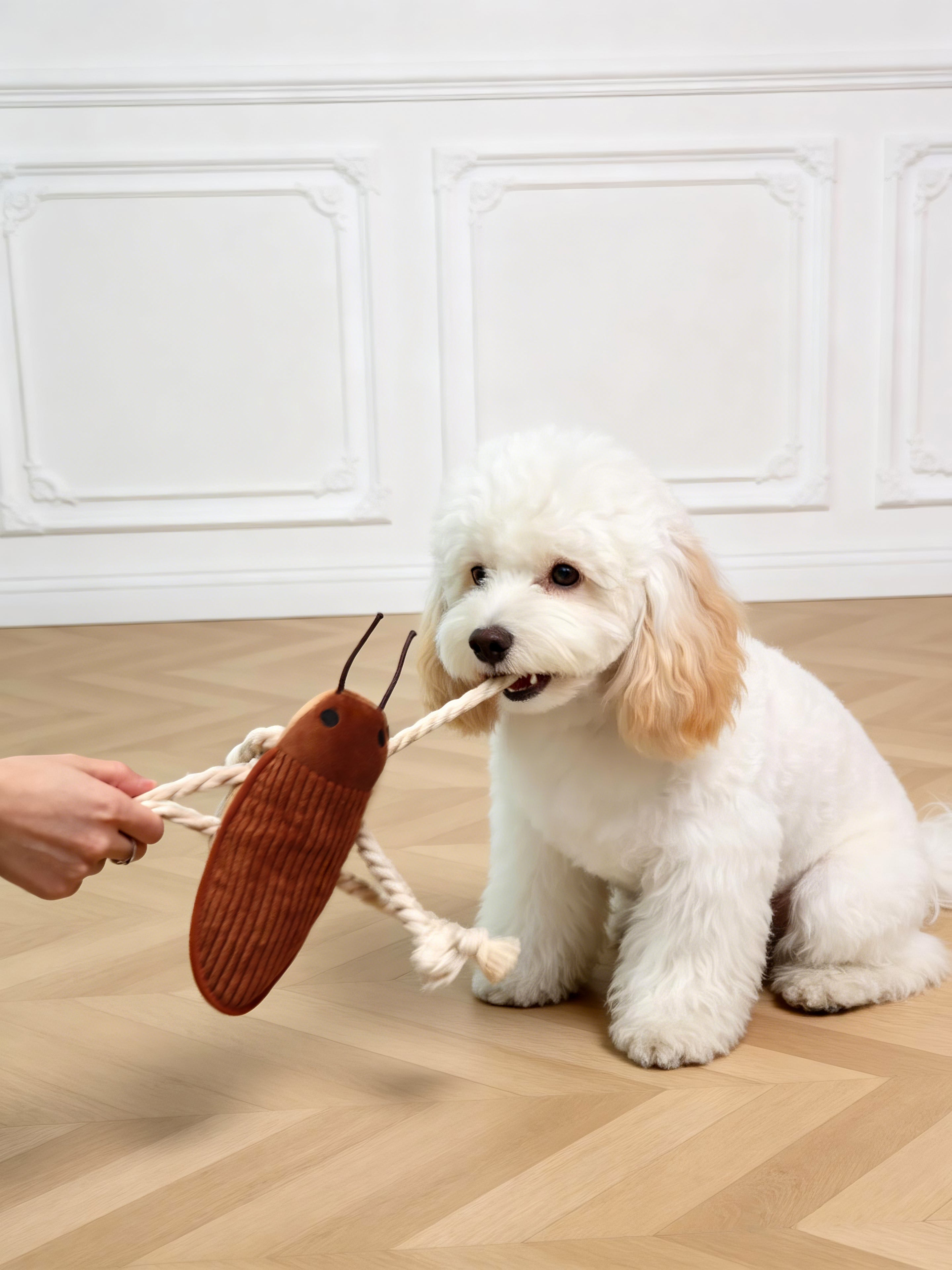 Cockroach Rope Dog Toy for Small to Medium Dogs - Tug, Fetch