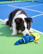 🔥New Arrivals🔥Tennis Ball Duo Tug & Fetch Dog Toy