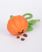 Super Mini Pumpkin Rope Toy for Small & Teething Dogs (Single)