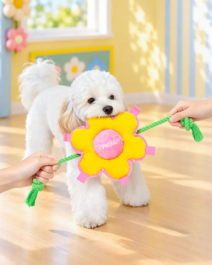 🔥New Arrivals🔥Sunflower Squeaky Tug & Fetch Dog Toy