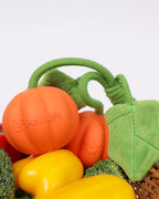 🔥New Arrival 50% OFF🔥Super Mini Pumpkin Rope Toy for Small & Teething Dogs