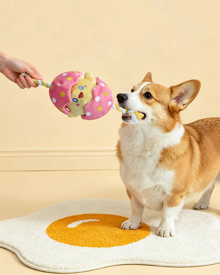 🔥New Arrival🔥Hatching Chick Tug & Squeaky Plush Dog Toy