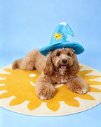 Treat-Hiding Wizard Hat Snuffle Dog Toy