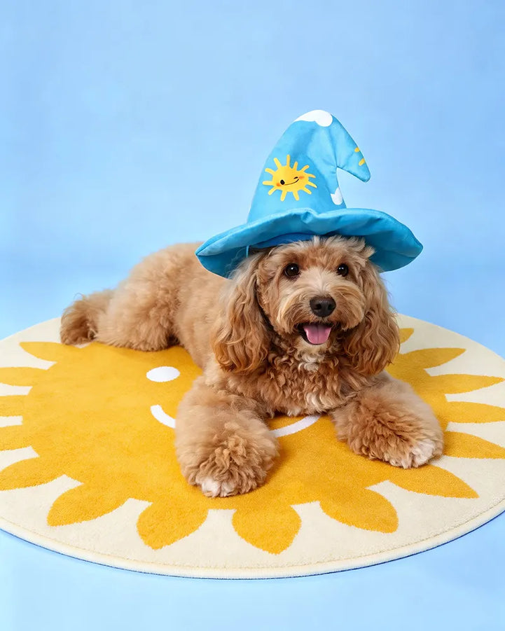 Treat-Hiding Wizard Hat Snuffle Dog Toy
