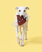 🔥New Arrivals🔥Poopy Face Squeaky Tug & Rope Dog Toy