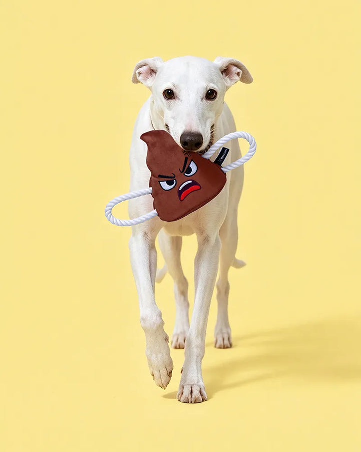 🔥New Arrivals🔥Poopy Face Squeaky Tug & Rope Dog Toy