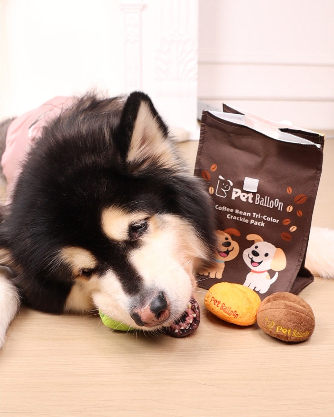 🔥Black Friday 50% OFF🔥Coffee Bean Toy Set