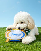 🔥New Arrival🔥Football-Shaped Outdoor Crinkle Tug & Fetch Dog Toy