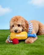 🔥New Arrival🔥Cricket Interactive Squeaky Snuffle Dog Toy